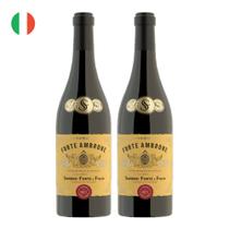Kit 2 Vinhos Forte Ambrone Vino Rosso dItália Tinto Itália 750ml