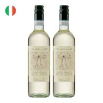 Kit 2 Vinhos Leonardo Da Vinci Pinot Grigio Branco Itália 750ml