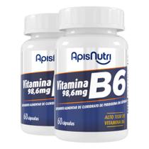 Kit 2 Vitamina B6 Apisnutri 60 cápsulas