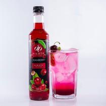 Kit 2 Xaropes Soda Italiana Dilute Premiun 500ml Original