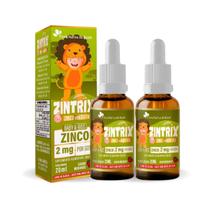 Kit 2 Zinco Gotas 20ml Sabor Morango Zintrix Kids Flora Nativa