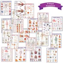 Kit 20 Mapas Anatômicos - Dobrados 120x90cm - Escolar - Estudos - Corpo Humano