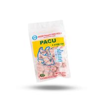 Kit 20 Massa Pronta Pacu Goiaba 100g Pesca - Lambari Kit 20 Massa Pronta Pacu Goiaba 100g Pesca - Lambari