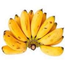 Kit - 20 Mudas De Banana Maçã - Melhoradas Geneticamente - DECORA GARDEN