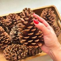 Kit 20 Pinhas Decoração Arvore de Natal Pinha Artesanato Arranjo Mesa