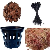 Kit 20 Vasos Vazados VS15 Substrato Pinus 20 Hastes Plantio Jardim Natural