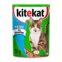 KIT 20UND Sachês para Gatos 70g Kitekat Sabor sua Escolha