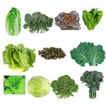 Kit 220 Sementes Hortaliças Folhas 10 Variedades para Horta Caseira