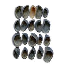 Kit 24 Cascos Bovinos - Luv