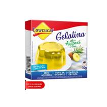 Kit 24 gelatina abacaxi zero acucar baixo teor de sodio nao contem gluten lowcucar 10g