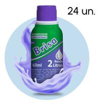 Kit 24 Un Concentrado Para Desinfetante 60ml Faz 2l Cada - Ramas Fragrâncias