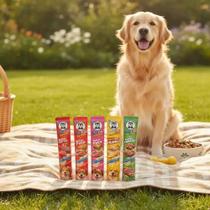 Kit 24 unidades do Chupscao Petisco para Cães Sabor Pato Creamy Snack Delicioso e Saudável para Anim Kit 24 unidades do Chupscao Petisco para Cães Sabor Pato Creamy Snack Delicioso e Saudável para Anim