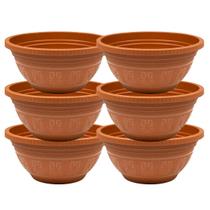 Kit 24 Vasos P Planta Cacto Suculenta Rosa Deserto Flores