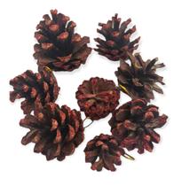 Kit 24pç Pinha Natural Decoraçã Glitter Enfeite De Natal 4cm Kit 24pç Pinha Natural Decoraçã Glitter Enfeite De Natal 4cm