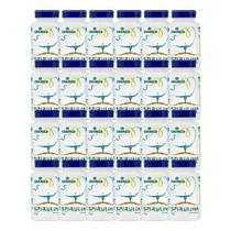 Kit 24x Vitamina Spirulina 550mg 100 Cps - CHAMEL