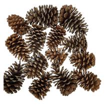 Kit 25 Pinhas Naturais Para Guirlanda e Arranjos Decorativos
