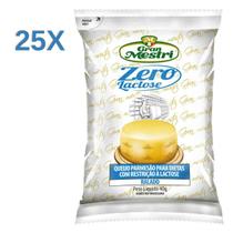 Kit 25 Queijos Parmesão Ralado Zero Lactose 40g