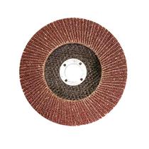 Kit 25PC Disco Flap 4 1/2x7/8 Gr100 - Mtx