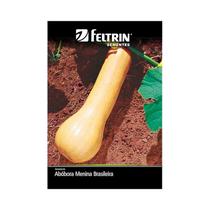 Kit 25PT Semente Abobora Menina Brasileira 03 - Feltrin Kit 25PT Semente Abobora Menina Brasileira 03 - Feltrin