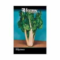Kit 25PT Semente Acelga Branca de Lyon 10 - Feltrin Kit 25PT Semente Acelga Branca de Lyon 10 - Feltrin