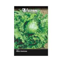 Kit 25PT Semente Alface Americana Grandes Lagos 140 - Feltrin