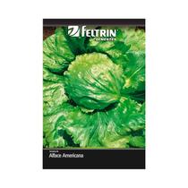 Kit 25PT Semente Alface Americana Rafaela 831 - Feltrin