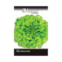 Kit 25PT Semente Alface Mimosa Giovana 943 - Feltrin