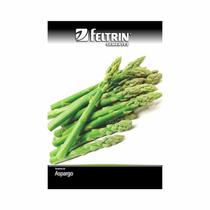 Kit 25PT Semente Aspargo Nilo 1132 - Feltrin Kit 25PT Semente Aspargo Nilo 1132 - Feltrin