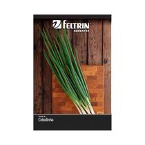 Kit 25PT Semente Cebolinha Todo Ano 34 - Feltrin