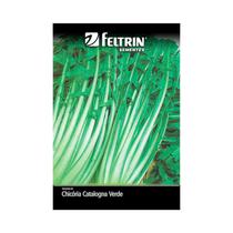 Kit 25PT Semente Chicoria Catalogna 166 - Feltrin
