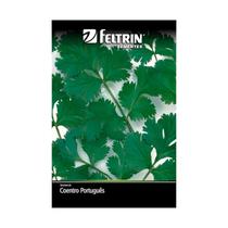 Kit 25PT Semente Coentro Português Pacífico 114 - Feltrin Kit 25PT Semente Coentro Português Pacífico 114 - Feltrin