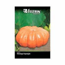 Kit 25PT Semente Moranga Exposicao 02 - Feltrin Kit 25PT Semente Moranga Exposicao 02 - Feltrin