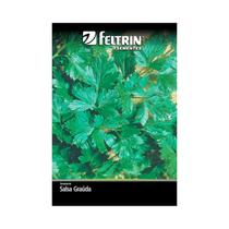 Kit 25PT Semente Salsa Lisa Gigante Portuguesa 116a - Feltrin