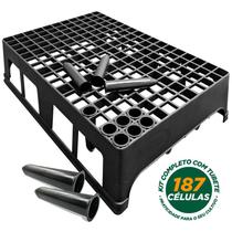 Kit 29 Bandejas Caixa 187 Células Completas Com Tubetes 55cm