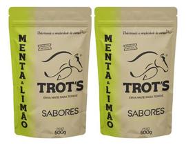 Kit 2erva Mate Tereré Premium Trot's Sabor Menta & Limão