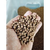 Kit 2KG Ração 5mm para Tartarugas Répteis e Peixes Filhotes 32%