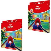 Kit 2un Lápis De Cor Hexagonal Com 24 Cores - Famix Kit 2un Lápis De Cor Hexagonal Com 24 Cores - Famix