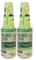 Kit 2un Spray Própolis Propomax Zero Açúcar 30ml Apis Flora