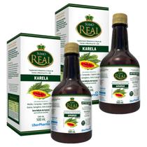 Kit 2un Sumo Real Amargo Suplemento Alimentar Líquido Colina Kit 2un Sumo Real Amargo Suplemento Alimentar Líquido Colina