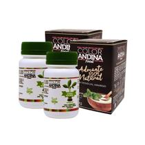 kit 2x Adoçante Color Andina Natural 100% Stevia 40g - Sem Amargor Adoça Café Chá Bebidas Forno