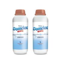 Kit 2X Algicida de Choque DomClor 1L Limpeza Para Piscina Kit 2X Algicida de Choque DomClor 1L Limpeza Para Piscina