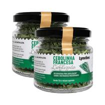 Kit 2X: Cebolinha Liofilizado Lyovibes 4,5g Kit 2X: Cebolinha Liofilizado Lyovibes 4,5g