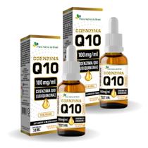 Kit 2x Coenzima Q10 30ml Sabor Laranja Flora Nativa do Brasil Kit 2x Coenzima Q10 30ml Sabor Laranja Flora Nativa do Brasil