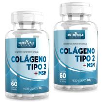 Kit 2x Colágeno Tipo 2 Com Msm 60 Cápsulas 500mg
