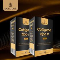 Kit 2x Colágeno Tipo 2 Gold Lab Contra Dor nas Articulações