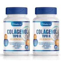 Kit 2x Colágeno Tipo 2 Não Desnaturado com Cálcio, Magnésio 120 Cápsulas Suplemento Alimentar Sem Glúten