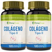 Kit 2x Colágeno Tipo 2 Natural - 120 Cápsulas Kit 2x Colágeno Tipo 2 Natural - 120 Cápsulas