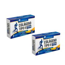 Kit 2x Colágeno Tipo II 40mg 2x60 cps Flora Nativa