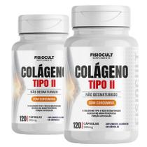 Kit 2x Colágeno Tipo II Não Desnaturado 500mg Vitamina K2 D3 e Silício 120 Cápsulas para Adultos Sem Gluten FisioCult Kit 2x Colágeno Tipo II Não Desnaturado 500mg Vitamina K2 D3 e Silício 120 Cápsulas para Adultos Sem Gluten FisioCult