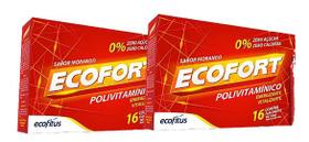 Kit 2x Ecofort Energizante Com 16 Flaconetes - Ecofitus